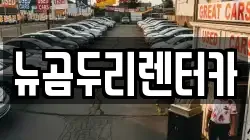 뉴곰두리렌터카