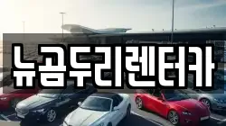 뉴곰두리렌터카