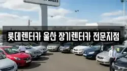 롯데렌터카 울산 장기렌터카 전문지점