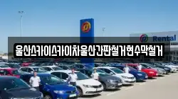 울산스카이스카이차울산간판철거현수막철거