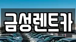울산광역시 남구 신정동 렌트카,단기렌트카,장기렌트카,중고차,중고차매매,중고차매입