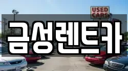 금성렌트카