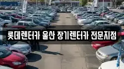 롯데렌터카 울산 장기렌터카 전문지점