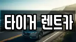 타이거 렌트카