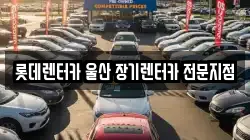 롯데렌터카 울산 장기렌터카 전문지점