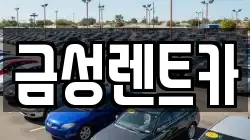 금성렌트카