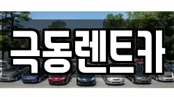 울산광역시 남구 장생포동 렌트카,단기렌트카,장기렌트카,중고차,중고차매매,중고차매입