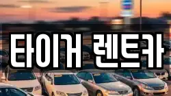 타이거 렌트카