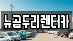 뉴곰두리렌터카