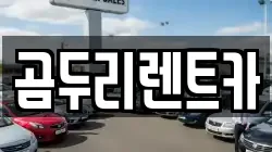 울산광역시 동구 렌트카,단기렌트카,장기렌트카,중고차,중고차매매,중고차매입