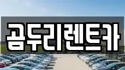 울산광역시 동구 방어동 렌트카,단기렌트카,장기렌트카,중고차,중고차매매,중고차매입