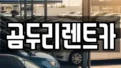 곰두리렌트카