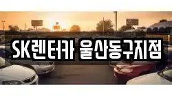 울산광역시 동구 화정동 렌트카,단기렌트카,장기렌트카,중고차,중고차매매,중고차매입