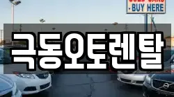 울산광역시 북구 대안동 렌트카,단기렌트카,장기렌트카,중고차,중고차매매,중고차매입