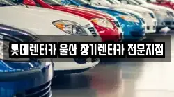 롯데렌터카 울산 장기렌터카 전문지점