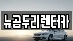 뉴곰두리렌터카