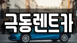 울산광역시 북구 신천동 렌트카,단기렌트카,장기렌트카,중고차,중고차매매,중고차매입