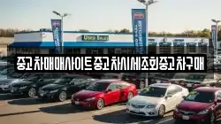 울산광역시 북구 어물동 렌트카,단기렌트카,장기렌트카,중고차,중고차매매,중고차매입
