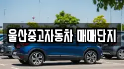 울산중고자동차 매매단지