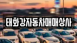 태화강자동차매매상사