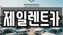 울산광역시 북구 천곡동 렌트카,단기렌트카,장기렌트카,중고차,중고차매매,중고차매입