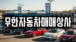 무한자동차매매상사