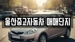 울산중고자동차 매매단지