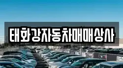 태화강자동차매매상사