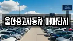 울산중고자동차 매매단지