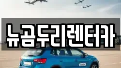 뉴곰두리렌터카