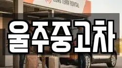 울산광역시 울주군 두동면 렌트카,단기렌트카,장기렌트카,중고차,중고차매매,중고차매입
