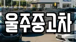 울산광역시 울주군 두서면 렌트카,단기렌트카,장기렌트카,중고차,중고차매매,중고차매입
