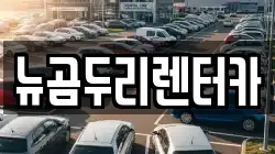 뉴곰두리렌터카