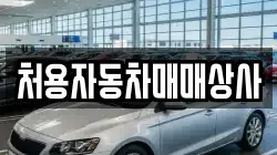 처용자동차매매상사