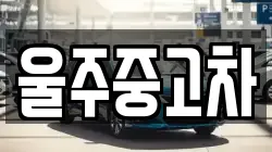 울주중고차