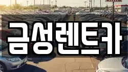 금성렌트카