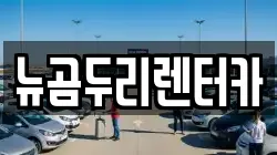 뉴곰두리렌터카