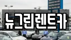 뉴그린렌트카