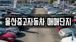 울산중고자동차 매매단지