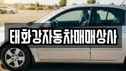 태화강자동차매매상사
