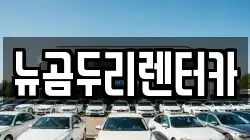 뉴곰두리렌터카