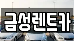금성렌트카