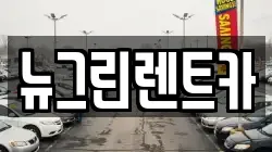 뉴그린렌트카
