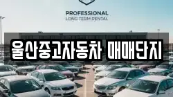 울산중고자동차 매매단지