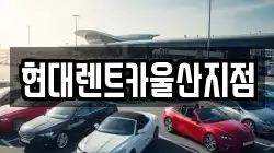 울산광역시 중구 서동 렌트카,단기렌트카,장기렌트카,중고차,중고차매매,중고차매입