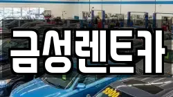 금성렌트카