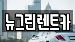 울산광역시 중구 옥교동 렌트카,단기렌트카,장기렌트카,중고차,중고차매매,중고차매입