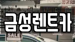 금성렌트카
