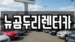 뉴곰두리렌터카