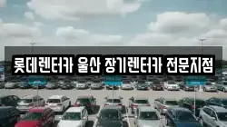 롯데렌터카 울산 장기렌터카 전문지점